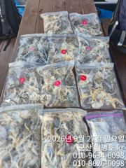 27일 오후반