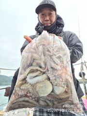 여수레드헌터피싱 히어로호 9월27일(일) 대사리물때 잡은 돌문어 굿굿 조황입니다 사진