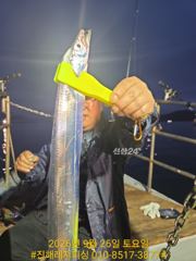 실시간 ㅡ내만칼치 ㅡ초저녁부터 피딩으로 꾸준히 올라오네요 (예약가능)