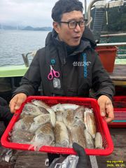 여수그린나래호/ 9월 27일 여수갑오징어낚시조황!!(블루미르호 계속해서 갑오징어낚시 예약가능)
