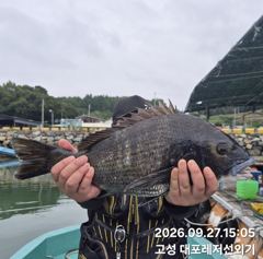 7시간전 [사천] 27일 왕쭈꾸미 사리물때 조항 좋습니다 ~29일 화욜 예약가능 합니다