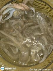 27일 야간 돌 문어 조황 입니다