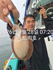 28일, 군산 갑오징어 본격시즌~오늘 나오고 있어요~실시간~군산낚시프라자 나드리호