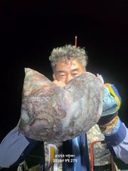 [사천] 삼천포 야간문어조황! 오늘도출조 자리여유!