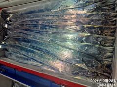 [진해] 와,28일새벽,내만칼치3지까지퍼담고타작,전원쿨러넘쳐만만쿨,오늘예…