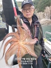 28일, 군산문어 싸이즈 좋은 덩치급 문어들~이어지있어요~실시간~군산낚시프라자 포세이돈호