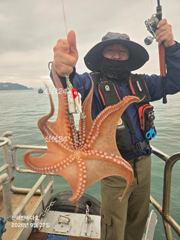 [진해문어낚시] 굵직굵직 돌문어의 찐한 손맛~!! 내일도 계속해서 달립니다^0^