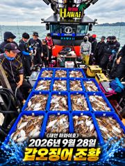[쭈갑조황] 9.28 하와이호 갑오징어 조황소식