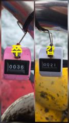 9눨 28일 삼길포 진주2호 주꾸미 조황입니다.