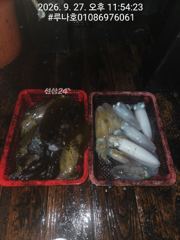 일요일저녁 208개 월요일새벽 243개 호조황