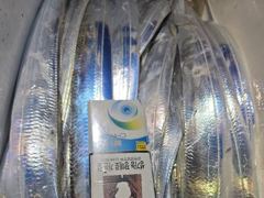 29일새벽 내만갈치 담배갑씨알까지 엄청잡고~!!루어,텐빈 1타1피~!!(오늘 예약중)