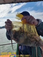 삼천포광명호2.10/1.2쭈꾸미 출조 예약 받습니다...[선비5만]
