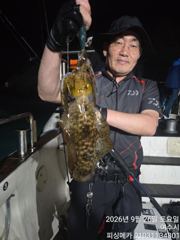 30일 거문도 무늬 오징어 출조 합니다