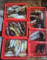 28일(월요일) 무늬팀런 다녀왔습니다
