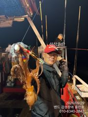 [군산] 29일 야간 홈런호 17분 문어 실시간 조황