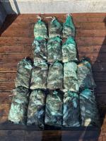 9월 29일 갑오징어 조황 장원 91갑