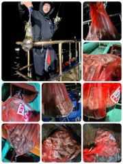 (오늘모집중)돌문어 쿵쾅쿵쾅!! 어젯밤!