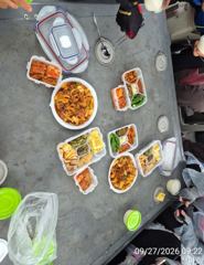 돌문어 )) 문어조황입니다@@