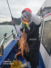 [진해] [진해 문어낚시]묵직하게 올라오는 돌문어 찐한 손맛~! 내일도 …