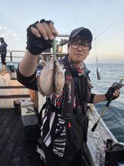[쭈·갑·문조황] 블루오션호 9월말(21일~30일)갑오징어 조황입니다.