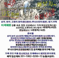 삼치,고등어,방어, 1타쌍피 카드채비 막잡아보자, 내일도 갑니다 빠른연락 주세요, 서울 수도권에서 제일 가까운 동해바다낚시 속초 양양 대선단배낚시