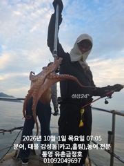 통영 금정호 오전문어 시작부터 신나게 올라옵니다 내일과 주말 자…