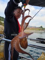 삼천포 마린보이 풍성한 가을문어 뜯으로 출항합니다.