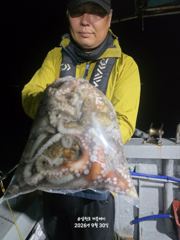 [먹물조황]삼천포문어조황!주간반,야간반매일출조!