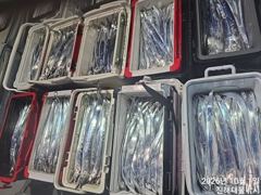 [진해] 1일새벽,내만칼치4지용가리까지 씨알완전대박,엄청쏱아지고~오늘예약…