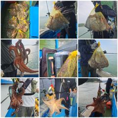 삼천포 제일호 돌문어 조황!!