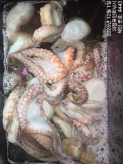 [진해] ~~*1일돌문어 마리수 제법올라옵니다~(예약가능)*~~