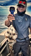 오후반 무늬!!