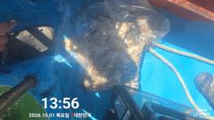 10월1일 먹물~
