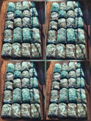 [먹물조황] 10월1일 갑쭈 조황