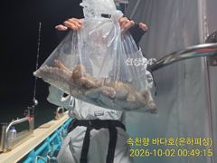 [진해] 야간문어 사이즈 장난 아님.1.8k 1k다수 다수 최고14수 1…