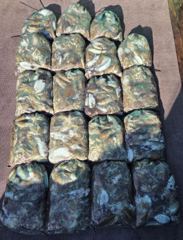[먹물조황] 10월2일 갑쭈 조황