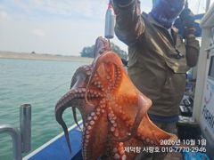 "여밭돌문어" 시월 첫날 3자릿수 개인13수12수12수11수등 전원 마릿수조황 좋아요~^^