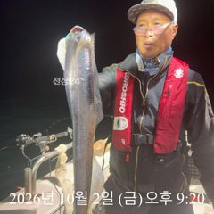 [ 갈치 텐빈 텐야 ] 먼바다 및 갈도권 조활