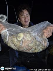 2일 야간 돌문어 조황 입니다