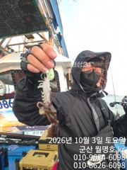 3일, 쭈꾸미랑,갑이랑~~오늘도 잘나오고 있어요~실시간~군산낚시프라자 월명호