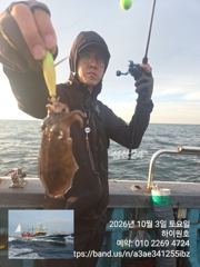 3일, 군산은 갑오징어 천국~나오고 있어요~실시간~군산낚시프라자 하이원호