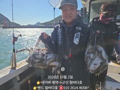 2일 첫 갑오징어(사이즈 마릿수) 굿 [군산 참바다호] 7일부터 갑 모집