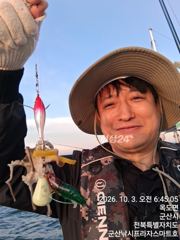 3일, 군산은 갑오징어 천국~나오고 있어요~실시간~군산낚시프라자 스마트호