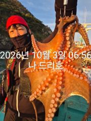 3일, 군산은 지금 ~싸이즈 좋은 덩치급 문어가~ 잘나오고 있어요~실시간~군산낚시프라자 나드리호