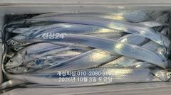 [진해] 3지급 내만갈치 느나느나 조항 오늘 1자리 예약가능!!