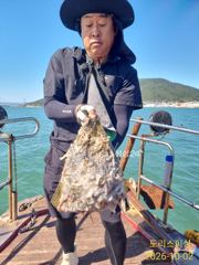 [사천] 화요일부터 쭈꾸미/무늬팁런
