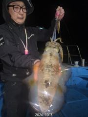 [통영] 카이로호!원도권 무늬팁런 입니다