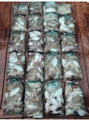 먹물조황 글만 보기