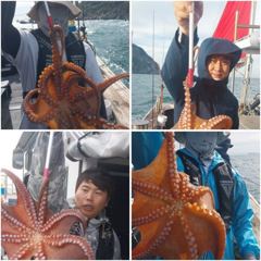 ■ [군산 드래곤호] 10/3 군산 "문어" 이정도면 대박조황~!!!