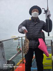 갑오징어 조항